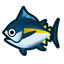 Bluefin Tuna