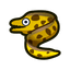 Moray Eel